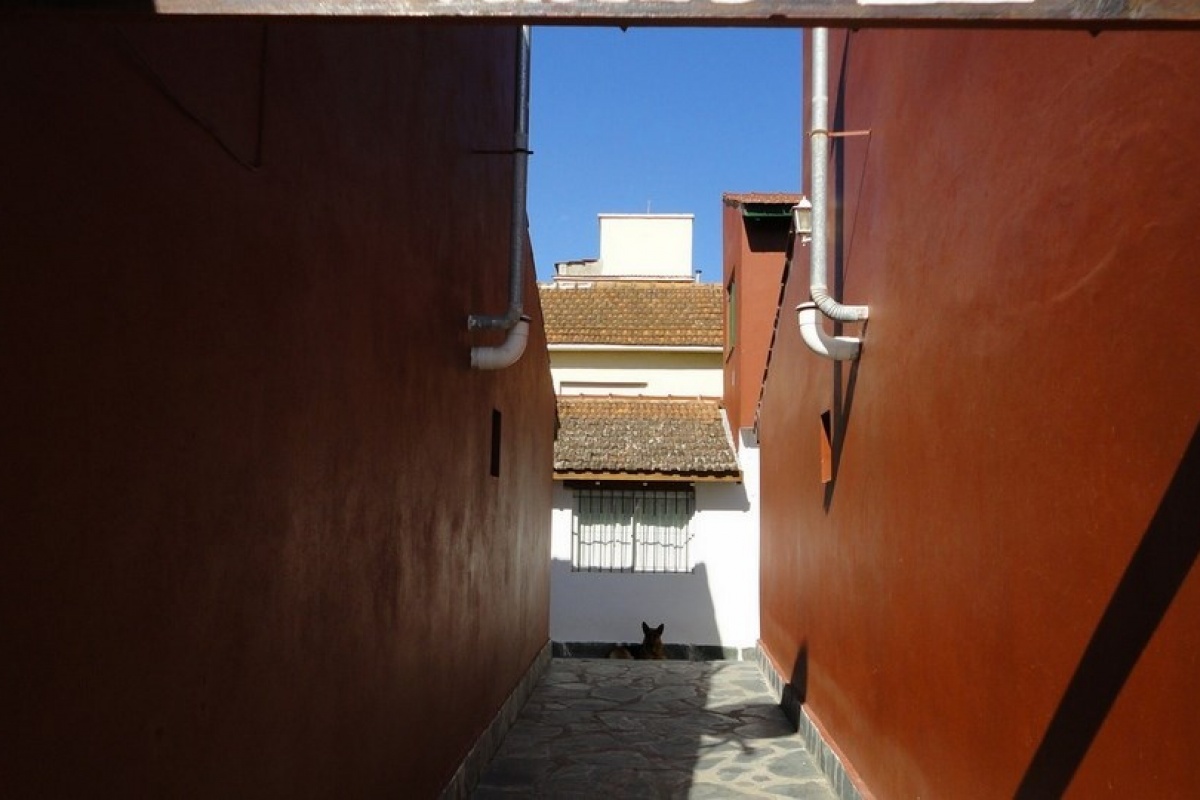 VILLA GESELL, Argentina, 2 Habitaciones Habitaciones, 3 Habitaciones Habitaciones,2 BañoBaño,Chalet,Venta Edificios en Block,1460