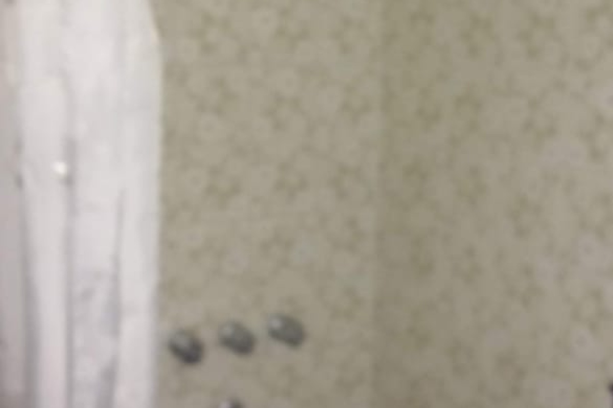 VILLA GESELL, Argentina, 1 Dormitorio Habitaciones, 2 Habitaciones Habitaciones,1 BañoBathrooms,Departamento,Venta Departamentos,1562