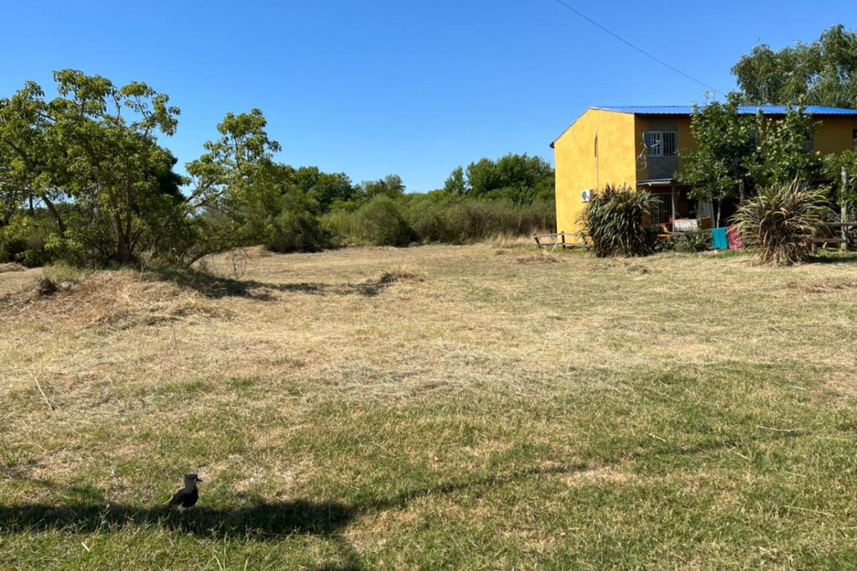 COLON, ENTRE RIOS, Argentina, ,Lote,Venta Lotes,1714