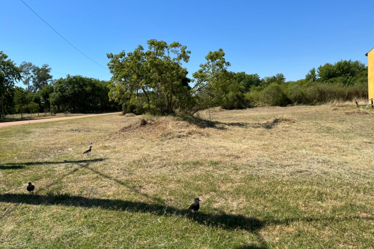 COLON, ENTRE RIOS, Argentina, ,Lote,Venta Lotes,1714