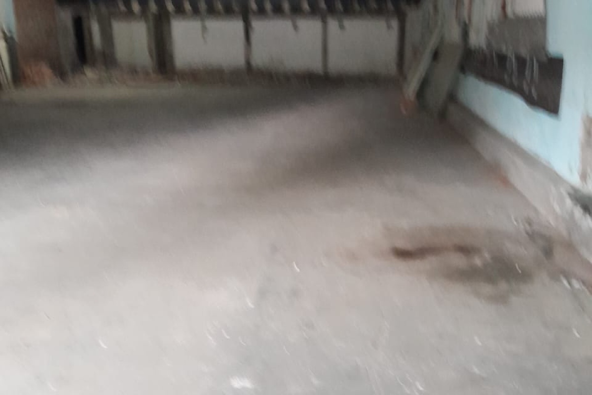 VILLA GESELL, Argentina, 1 Dormitorio Habitaciones, ,1 BañoBathrooms,Local,Alquiler Locales,1717