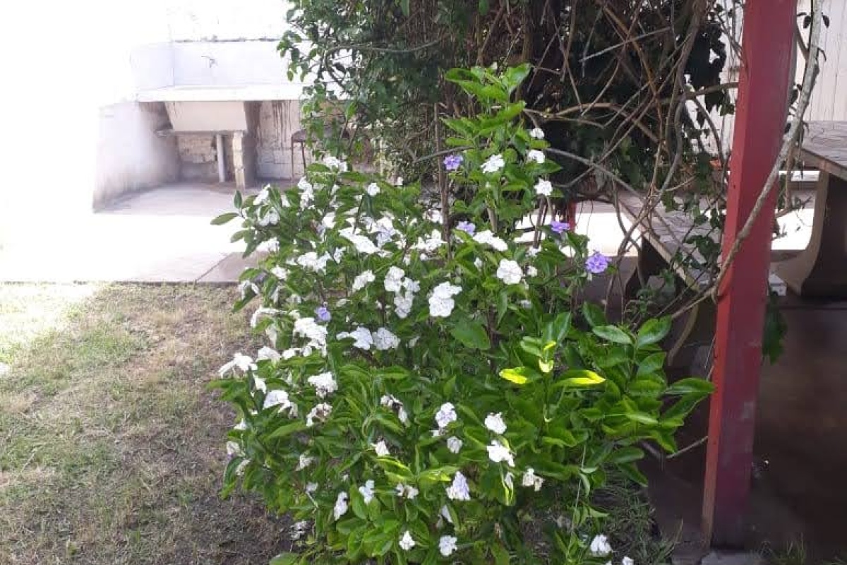 VILLA GESELL, Argentina, 1 Dormitorio Habitaciones, 4 Habitaciones Habitaciones,2 BathroomsBathrooms,Chalet,Alquiler,0,1718