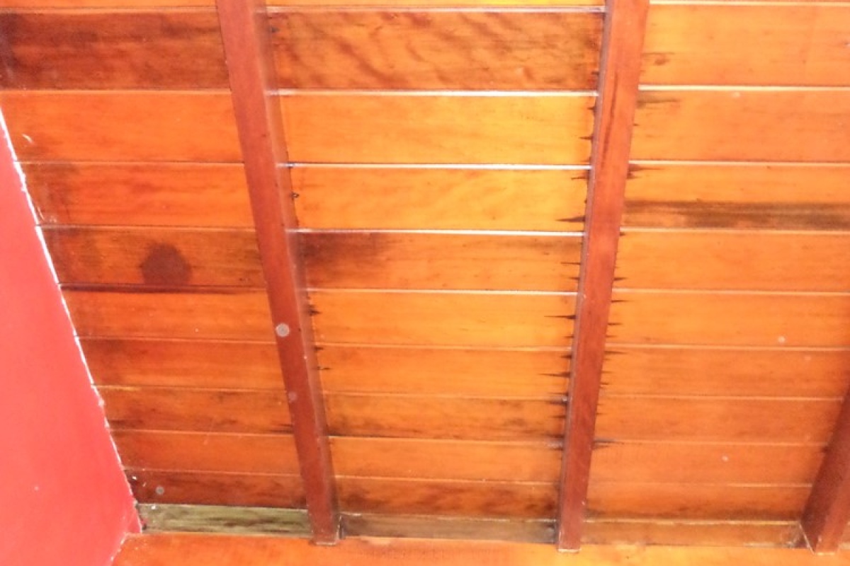 VILLA GESELL, BUENOS AIRES, Argentina, 2 Habitaciones Habitaciones, 1 Habitación Habitaciones,1 BañoBathrooms,Departamento,Alquiler Departamentos,0,1779