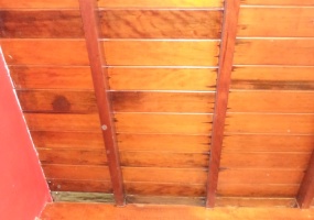 VILLA GESELL, BUENOS AIRES, Argentina, 2 Habitaciones Habitaciones, 1 Habitación Habitaciones,1 BañoBathrooms,Departamento,Alquiler Departamentos,0,1779