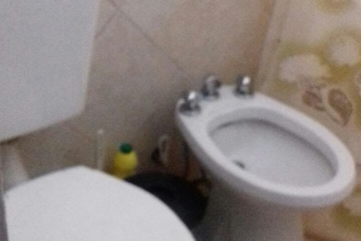 VILLA GESELL, BUENOS AIRES, Argentina, 1 Dormitorio Habitaciones, 2 Habitaciones Habitaciones,1 BañoBathrooms,Casa,Alquiler Casas,0,1780