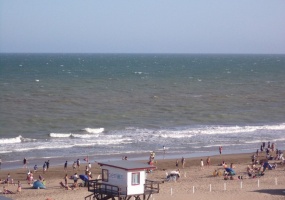 VILLA GESELL, Argentina, 1 Dormitorio Habitaciones, 1 Habitación Habitaciones,1 BañoBathrooms,Departamento,Alquiler Departamentos,0,1785